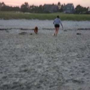 Meet your Posher, Lynn